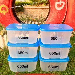 Tupperware bộ hộp bảo quản trữ đông rainbow 650ml màu
