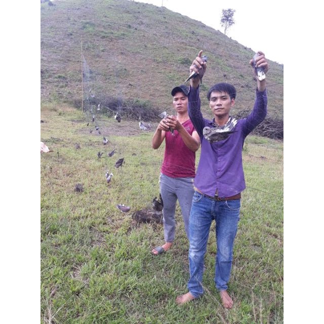 slide