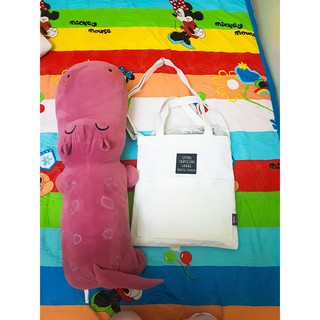 Túi vải Canvas Hàn Quốc 2018
