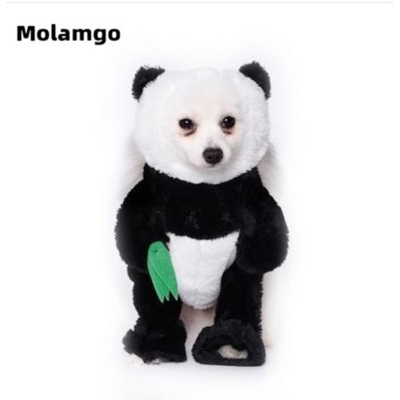 Bộ 2 chân gấu trúc cho thú cưng