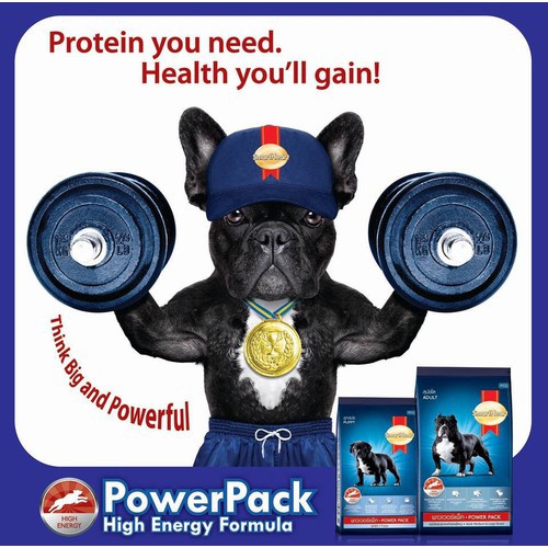 SmartHeart Power Adult 3kg- Thức ăn hạt khô SmartHeart cho chó trưởng thành tạo cơ bắp bao 3kg