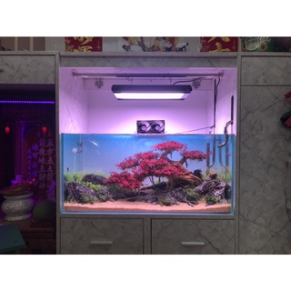 Tranh Hồ Cá, Decal dán hồ cá Bể Thủy Sinh - Bầu Trời (Open Sky)