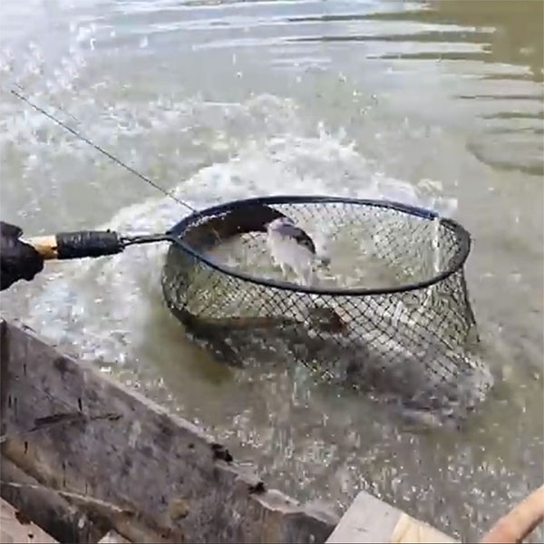 100 Lưỡi câu cá ngát, lưỡi câu đúc chuyên dụng câu cá ngát, cá lăng, cá tra