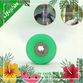 Hot Băng ghép cây xanh tự dính khổ 3cm dài 100m tự hủy  chất lượng cực chuẩn.
