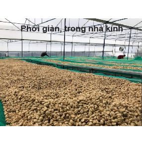 Cà phê sạch, nguyên chất  Arabica cầu đất 500g | BigBuy360 - bigbuy360.vn
