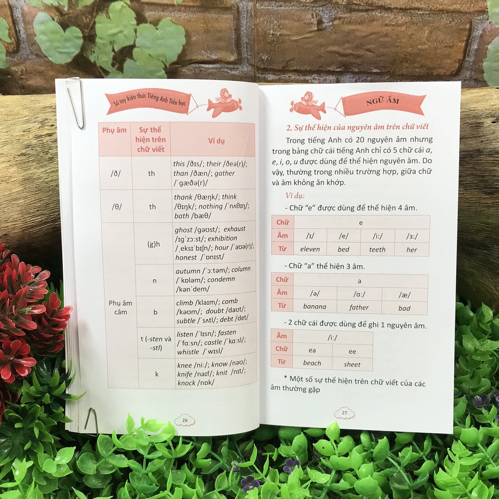 Sách - Sổ Tay Kiến Thức Tiếng Anh Tiểu Học | BigBuy360 - bigbuy360.vn