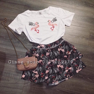 Set Hồng Hạc Giang Zozo