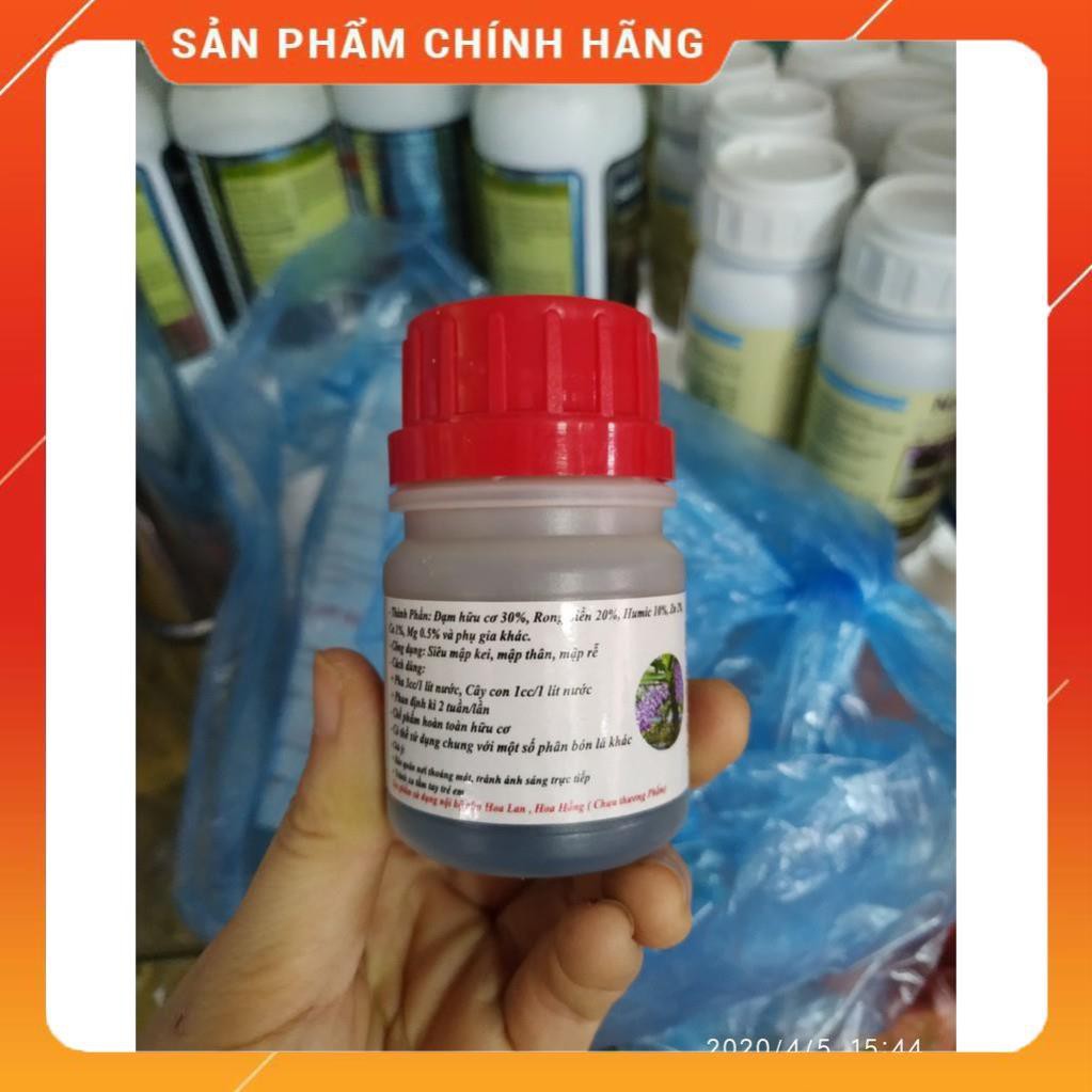 CHẾ PHẨM SIÊU MẬP KI F1 CHO HOA LAN LỌ 50ML