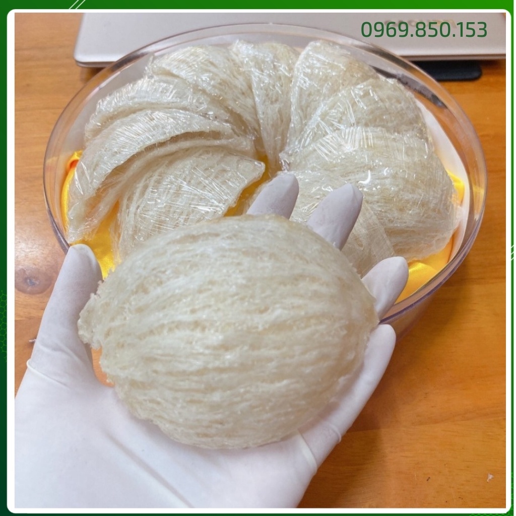 Tổ Yến Rút Lông Nguyên Tổ Xuất Khẩu - Yến Sào Cao Cấp The Nest House | BigBuy360 - bigbuy360.vn