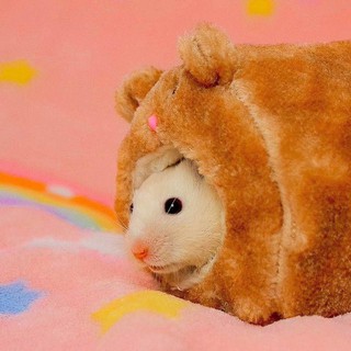 Lồng Chuôt Hamster - Lồng Hamster