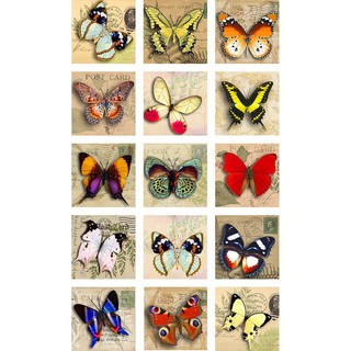 [ĐEN - XÁM] Len chọc - len thô - Needle Felting - Chọc bông
