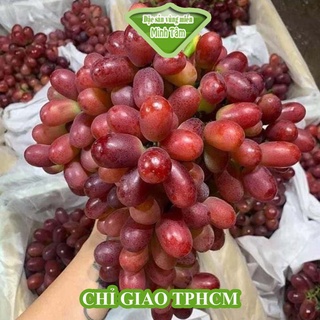 Nho Ruby Không Hạt siêu ngon Giao Siêu Tốc 1h [CHỈ GIAO TP.HCM]