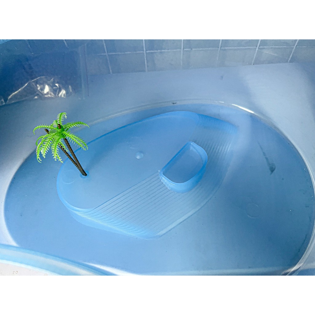 Bể nhựa nuôi rùa nước