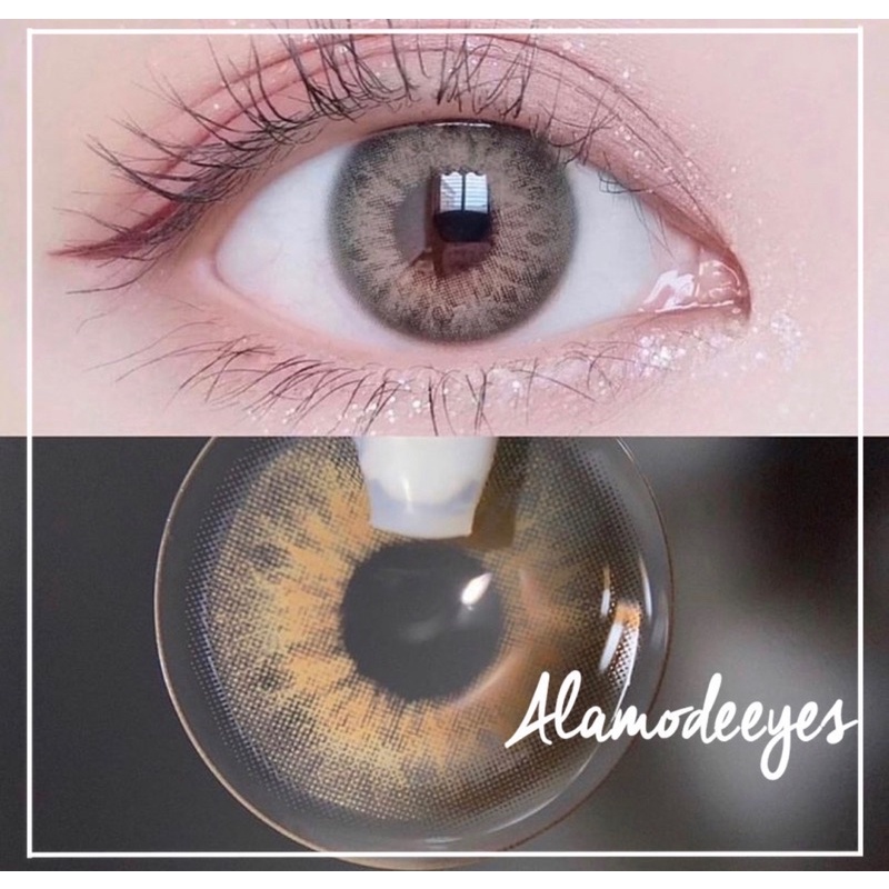 Lens nâu vân mắt tây