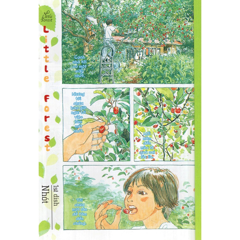 Sách Box Set Little Forest - 2 Tập