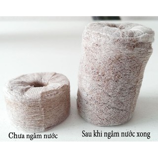 Viên nén xơ dừa (10v)