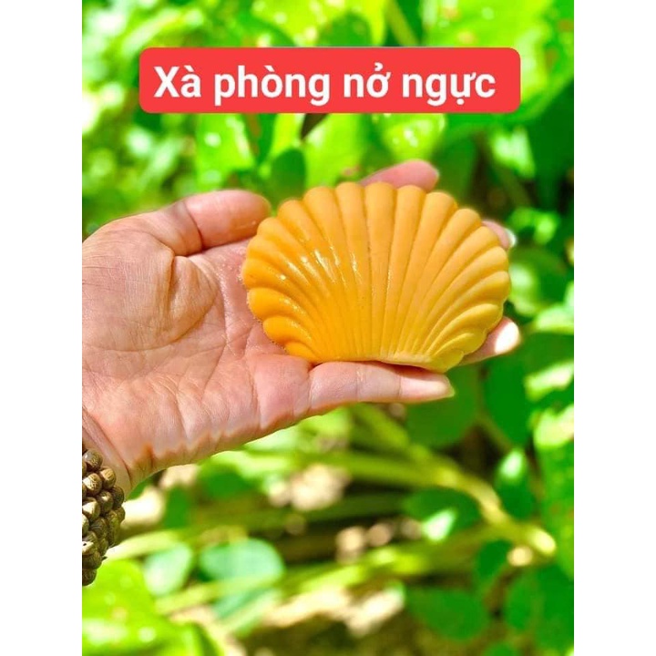 Xà phòng tăng vòng 1 mị hương, xà phòng nở ngực mị hương, bột giảm mỡ bụng mị hương