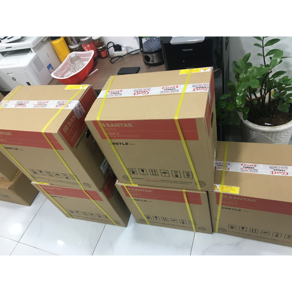 Bộ Lưu Điện UPS Santak C1K-LCD MỚI 100% chính hãng (1KVA/900W)