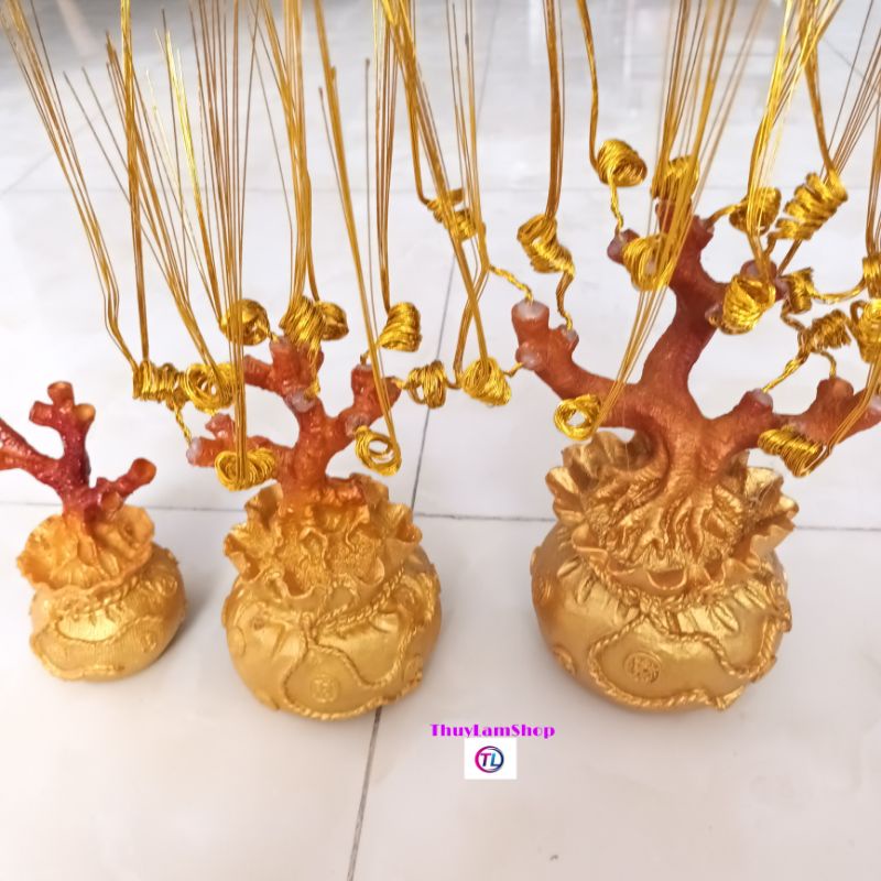 Gốc cây túi tiền đế đúc chắc chắn làm cây cành vàng lá ngọc