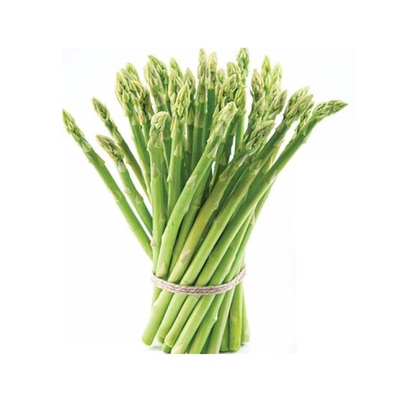 Cây giống măng tây xanh loại rau cao cấp.