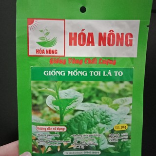 Hạt giống mồng tơi lá to