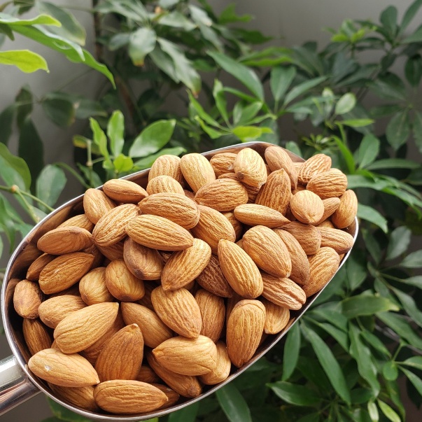 Hạnh Nhân Nguyên Hạt OLAM 1KG - Nhập Khẩu Úc