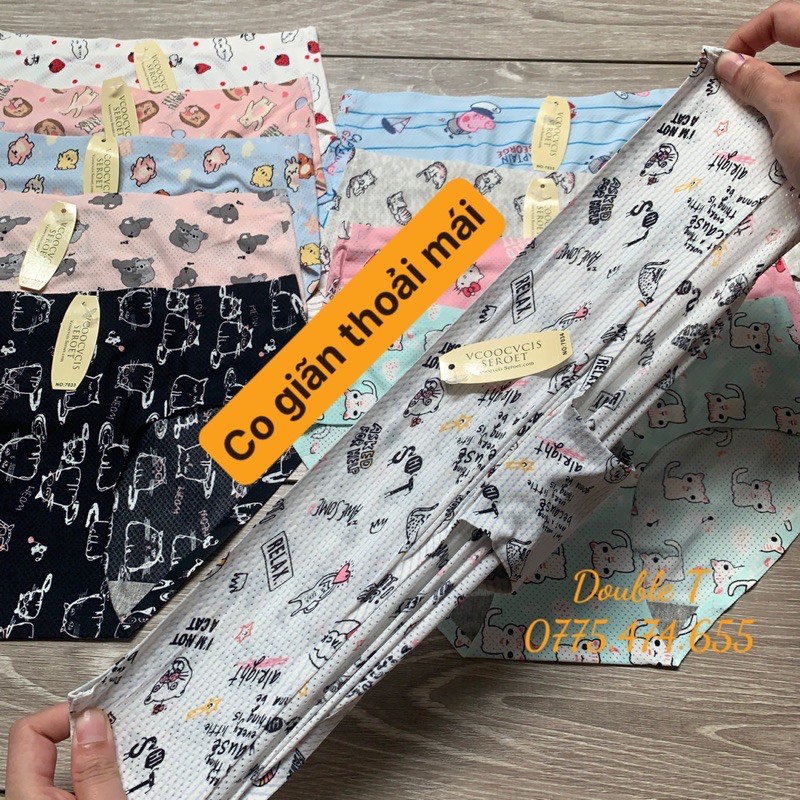 Quần lót su, thông hơi hoạt hình 40-70kg