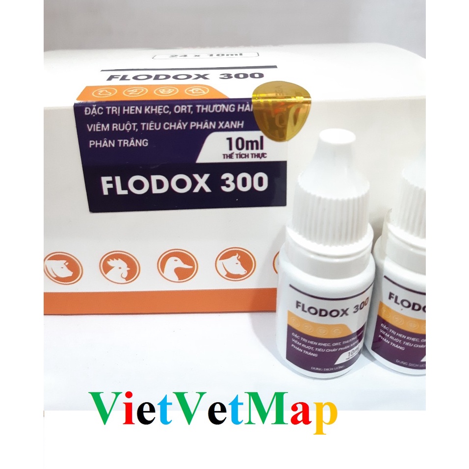 Dứt điểm Hen khẹt, ORT, Thương hàn, Viêm ruột, Tiêu chảy phân xanh phân trắng - Flodox 300 10ml