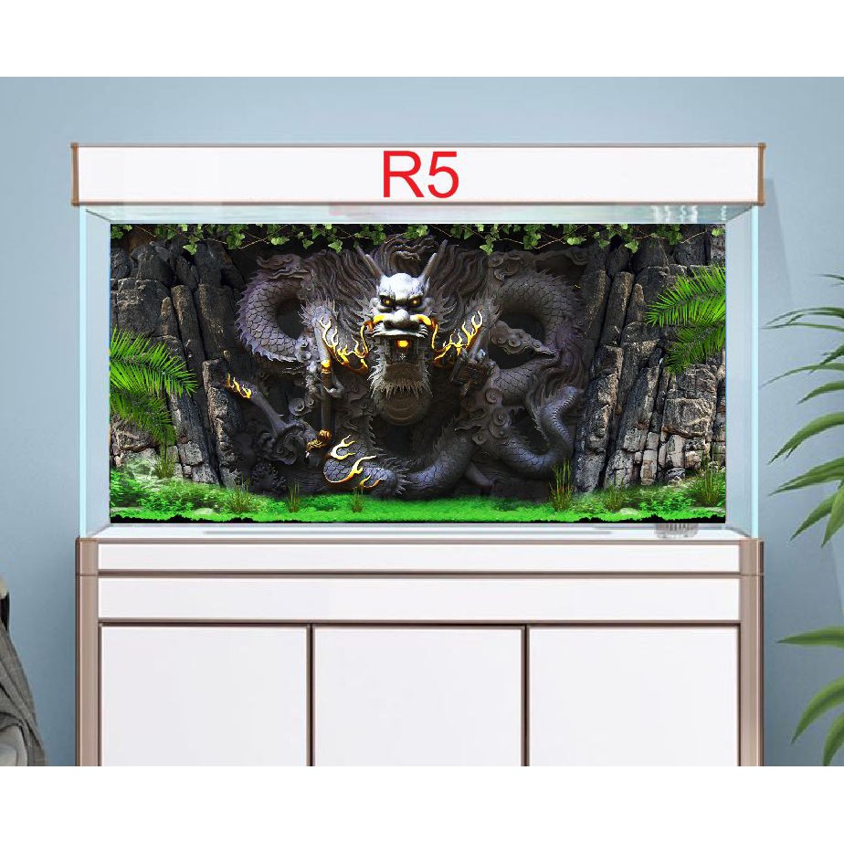 Tranh 3D dán bể cá mẫu rồng R5