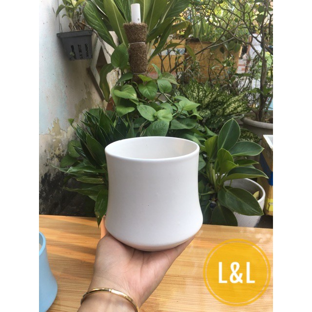 Chậu sứ Bát Tràng Hình Đốt Trúc Thấp  trồng cây Để Bàn, Cây Nội Thất, Sen Đá, Xương rồng, Cây Bon sai