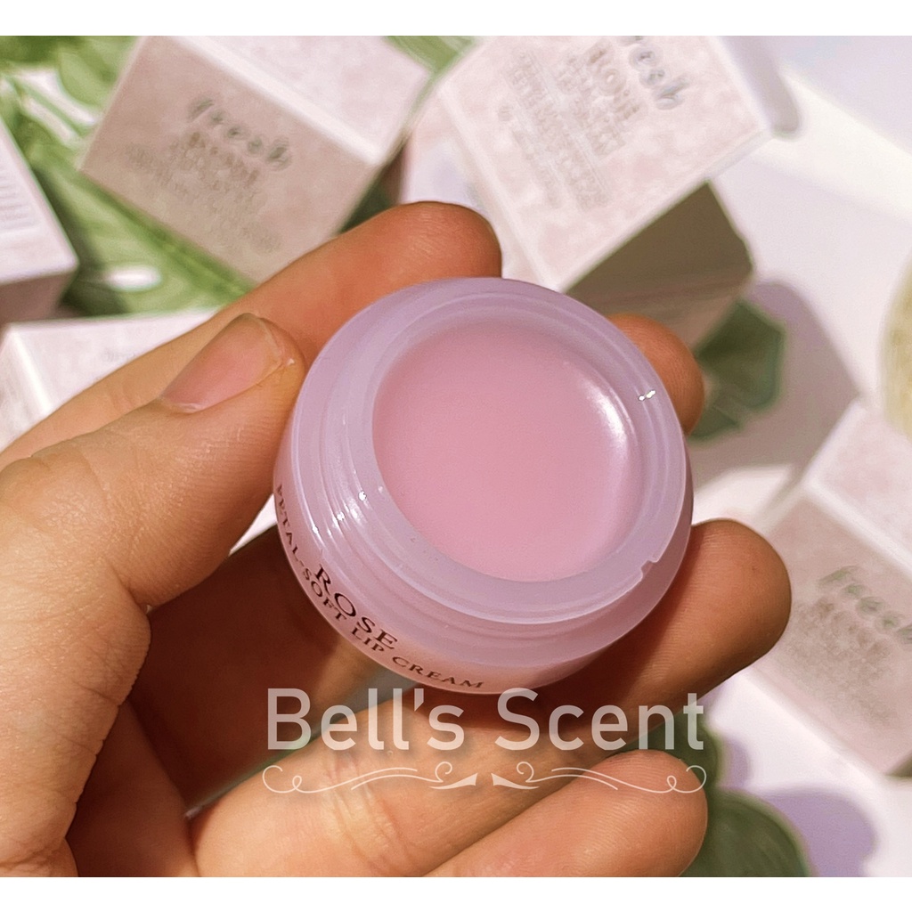 [MINI 2G] Son dưỡng môi Fresh Rose Petal-Soft Lip Cream