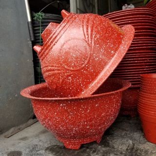 Sét 5 chậu trồng cây t38 đỏ giả đá