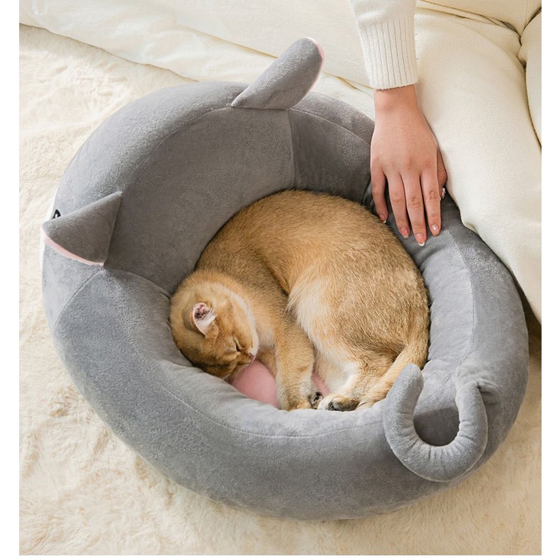 nệm bông Sweet cho chó mèo