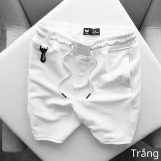 Quần short nam LITAIA Quần đùi cộc chất đẹp thoáng mát mặc nhà QĐ1