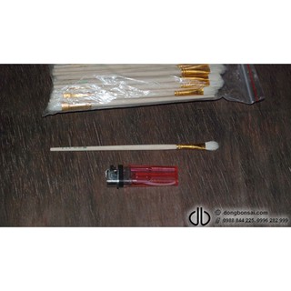 Chổi lông bôi thuốc lũa hoặc bôi keo liền sẹo