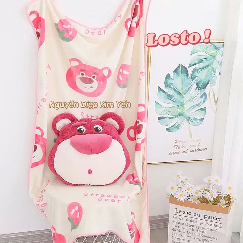 Gấu Losto kèm Mền