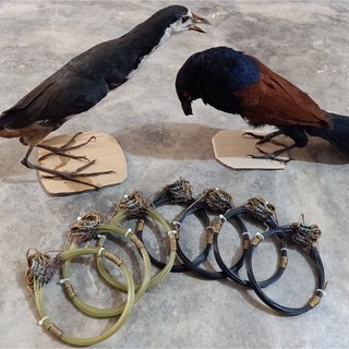 Mồi giả bìm bịp