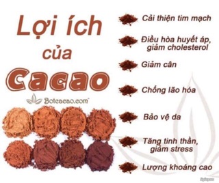BỘT CACAO NGUYÊN CHẤT DAKLAK (500g)