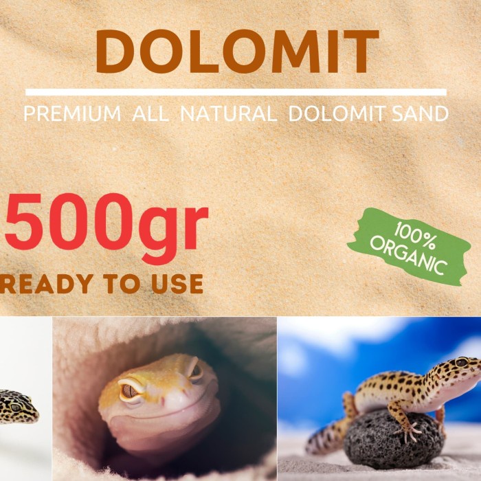 Dolomit gecko 500 Grams BestBuy ⭐⭐⭐ ~ Hri135