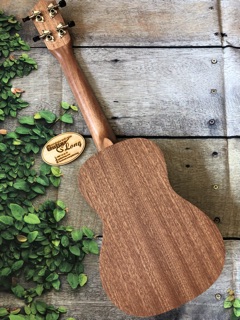 Đàn Ukulele Concert MHĐ U600