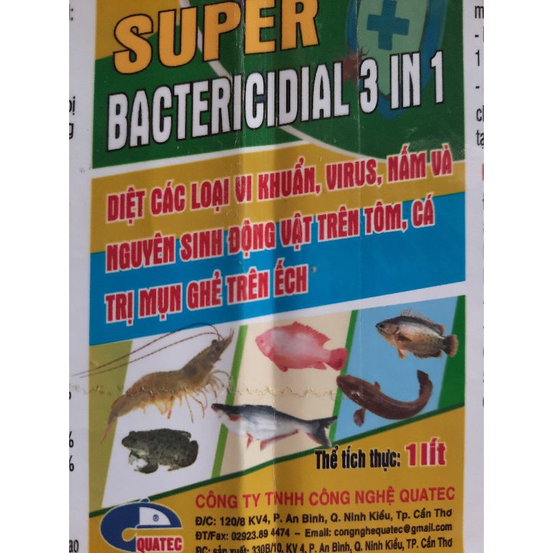 Super 3.1 diệt khuẩn, nấm, virus và nguyên sinh động vật trên tôm cá