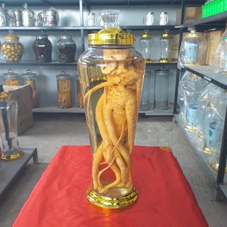 Bình Thuỷ Tinh 7 Lít Có Vòi và Không Vòi