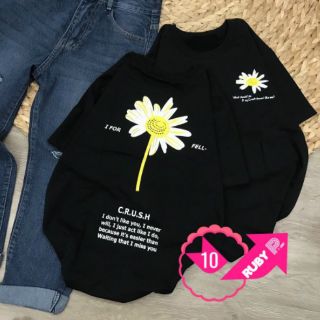 Áo thun cotton hoa cúc mẫu mới