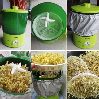 Máy làm giá đỗ