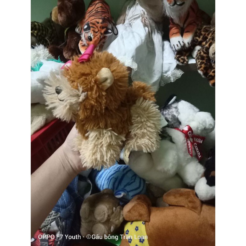 Gấu bông hình chú chó dễ thương