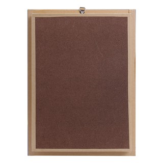 Bộ sưu tập bướm 12 con