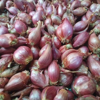 1kg hành tím Lý Sơn