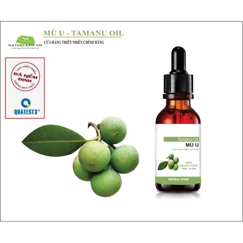 [ 15ML ] Dầu Mù U Nguyên Chất Organic ( Tamanu Oil ) - Mù U Vàng