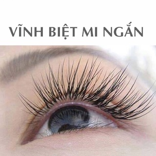 [FREESHIP] Tinh chất organic dưỡng dài mi và mày
