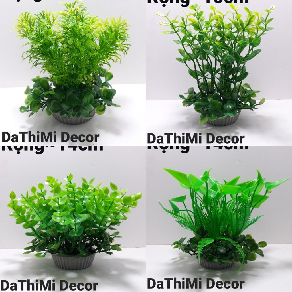Cây cỏ nhựa Size Nhỏ dùng để trang trí hồ cá, tiểu cảnh, bàn làm việc, bàn học .